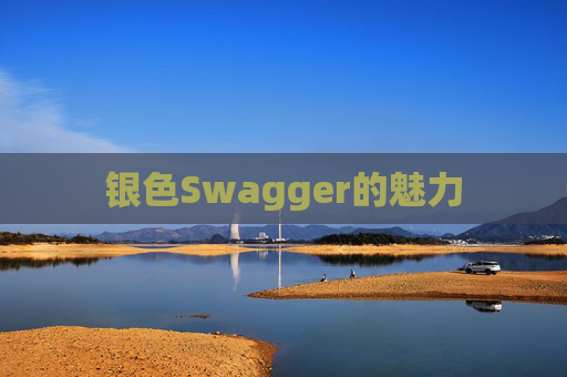 银色Swagger的魅力